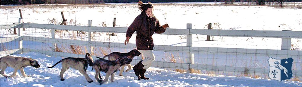 Exercise featured image
