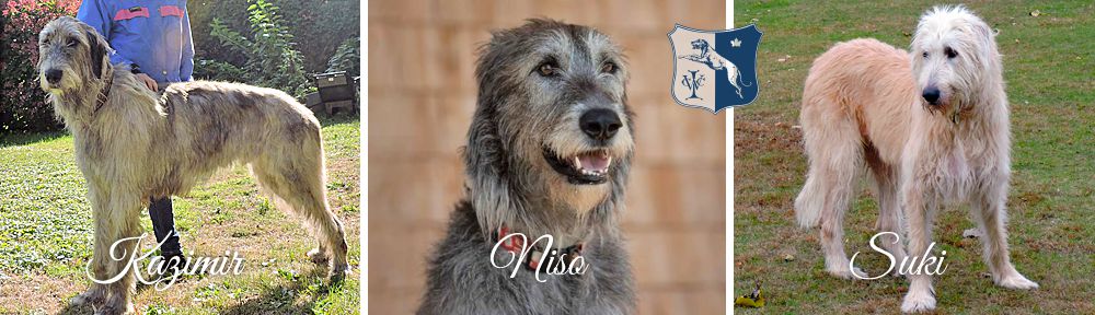 Rescue featured image