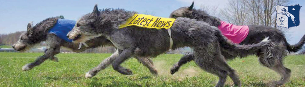 Latest News featured image