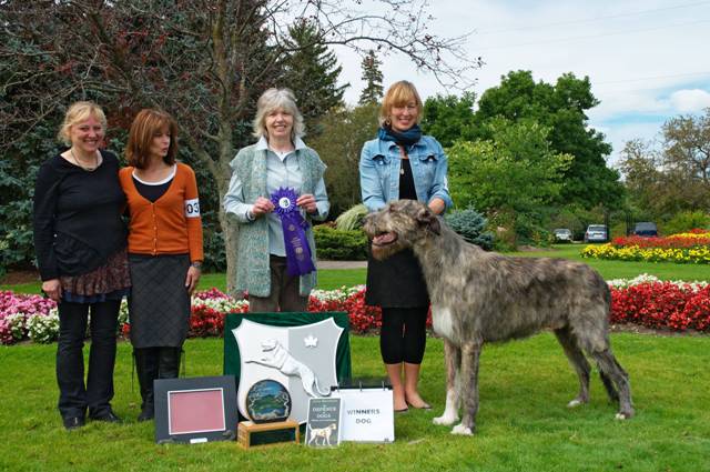 029_winners_dog