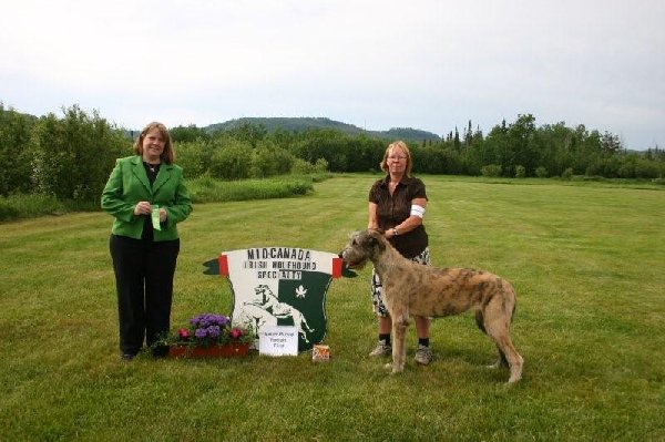 03-sweeps-jr-puppy-female-first