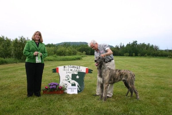 04-sweeps-sr-puppy-male-first
