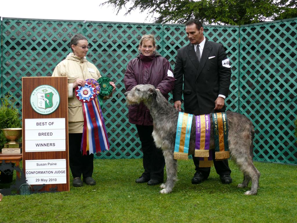 10a-best-of-breed-winners-2