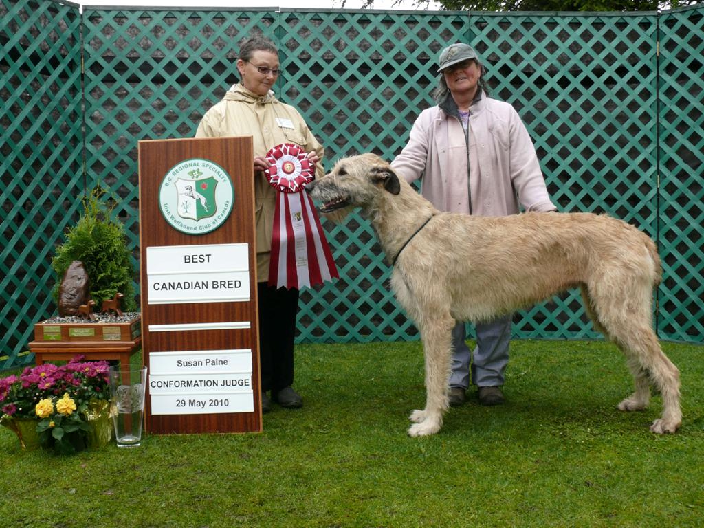 10d-best-canadian-bred