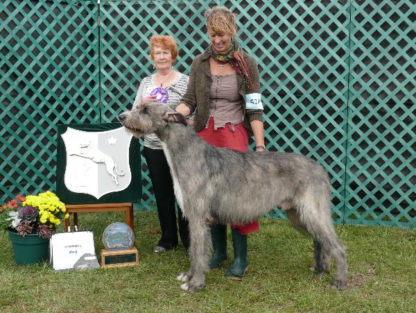 16_winnersdog