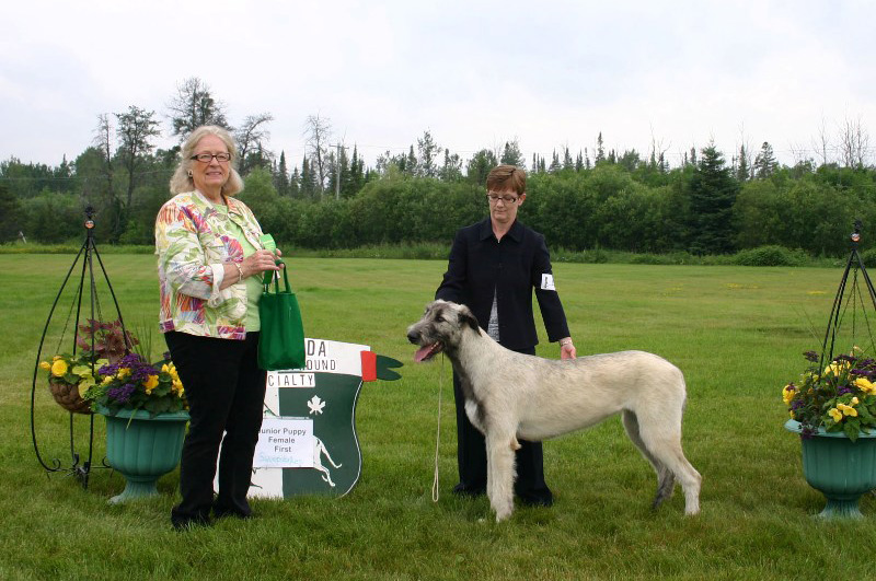 4-jr-puppy-female-first-sweepstakes-corrected