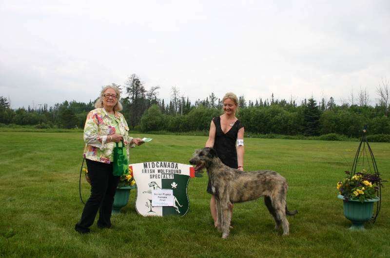 5-sr-puppy-female-first-sweepstake