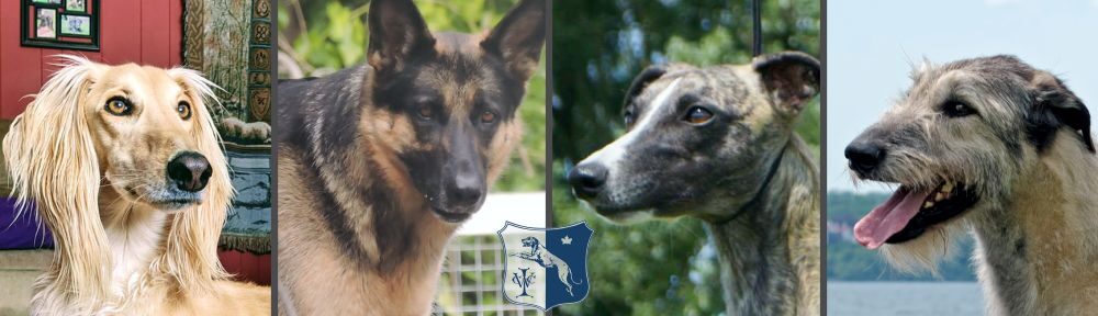 Why a Purebred featured image