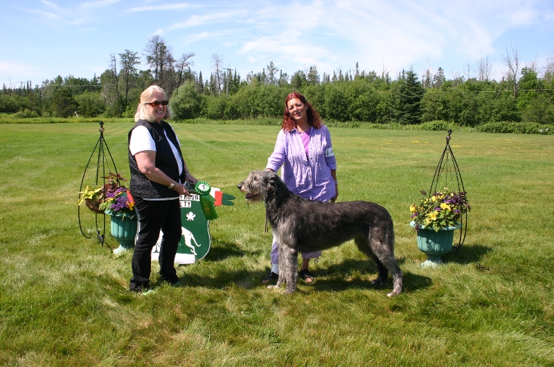 best-field-champion